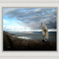 Alone Shepherd