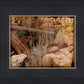 Golgotha