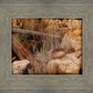 Golgotha