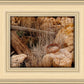 Golgotha