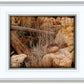 Golgotha