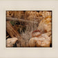 Golgotha