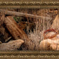 Golgotha