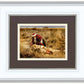 The Good Samaritan