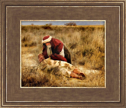 The Good Samaritan