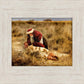 The Good Samaritan