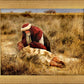 The Good Samaritan