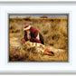 The Good Samaritan