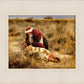 The Good Samaritan