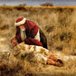 The Good Samaritan
