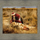 The Good Samaritan