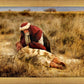 The Good Samaritan