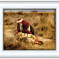 The Good Samaritan
