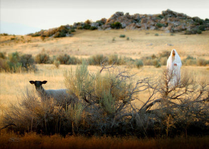 In Search of the One