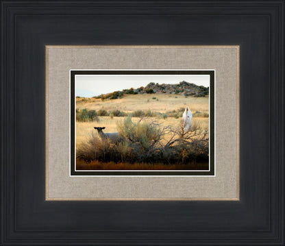 In Search of the One