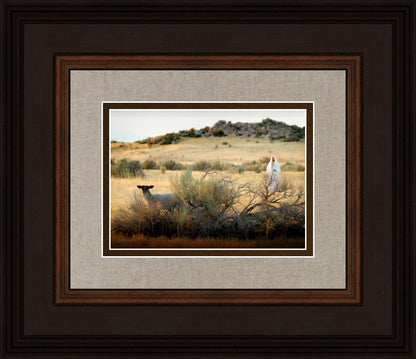 In Search of the One