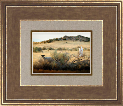 In Search of the One