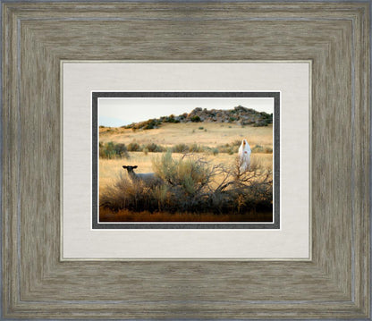 In Search of the One