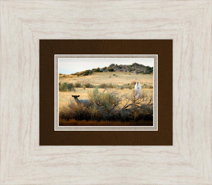 In Search of the One