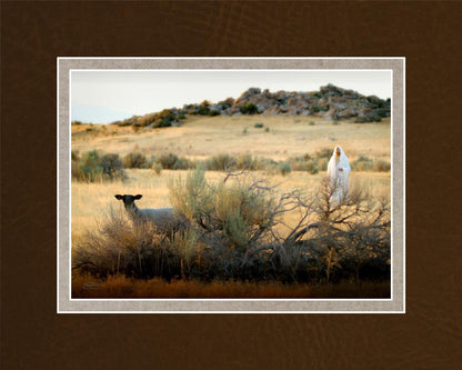 In Search of the One