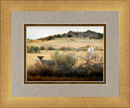 In Search of the One