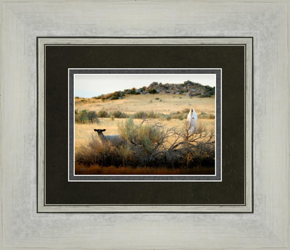 In Search of the One