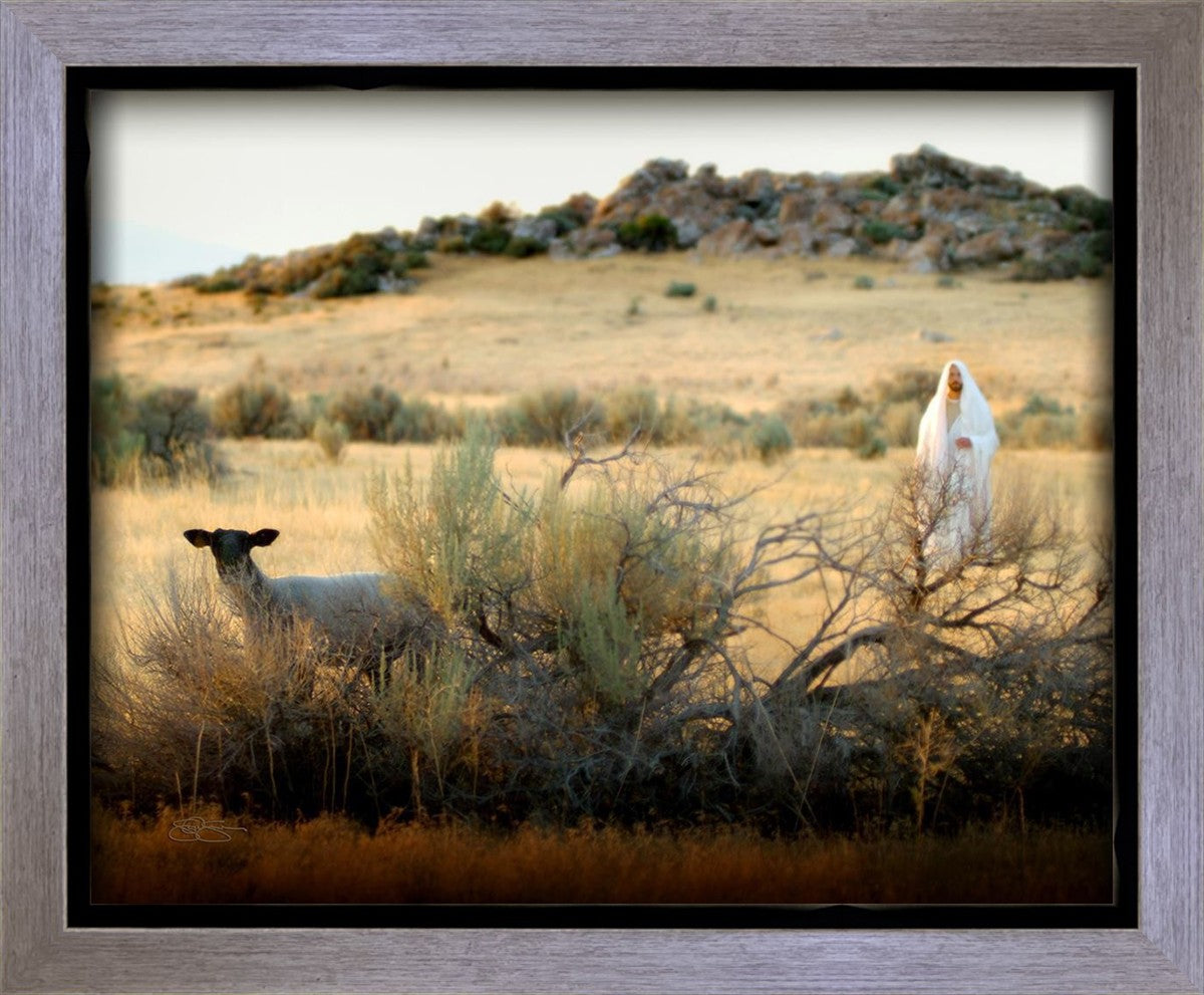 In Search of the One Gallery Wrap
