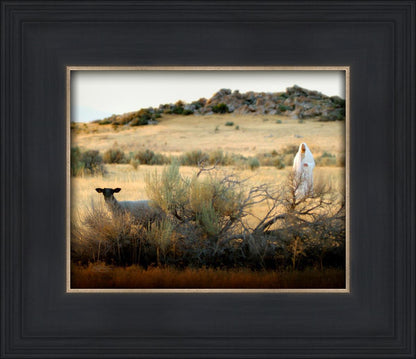 In Search of the One