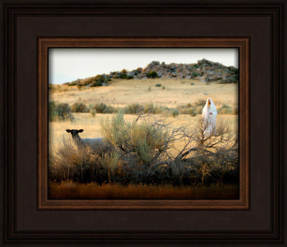 In Search of the One