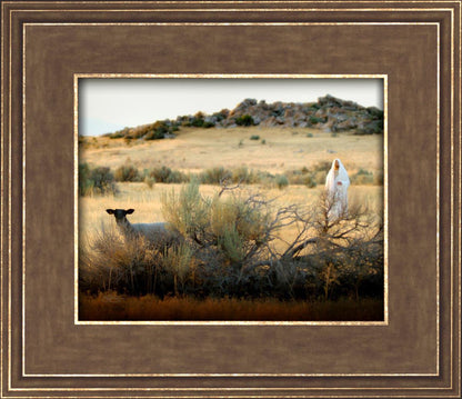 In Search of the One