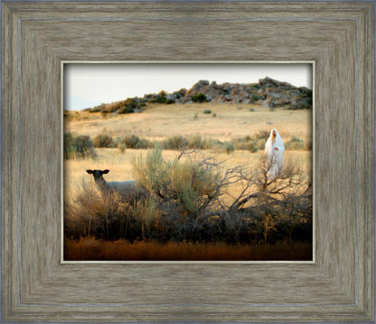 In Search of the One