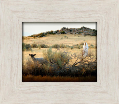 In Search of the One