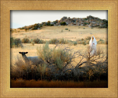 In Search of the One