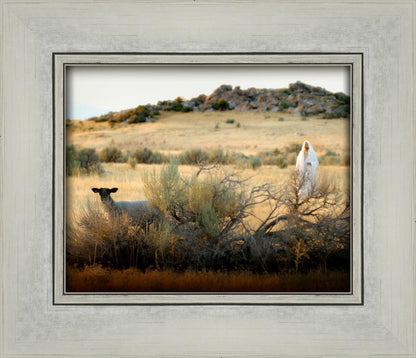 In Search of the One