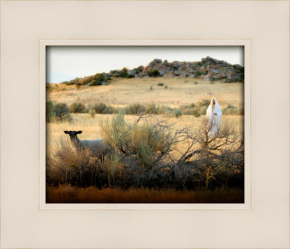 In Search of the One