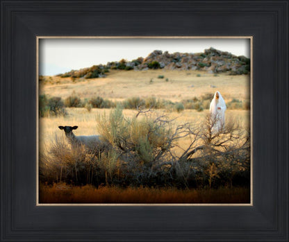 In Search of the One