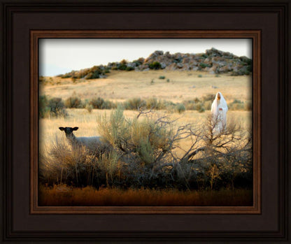 In Search of the One