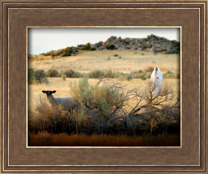 In Search of the One