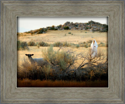 In Search of the One