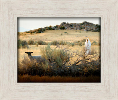 In Search of the One