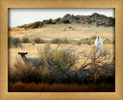 In Search of the One