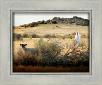 In Search of the One