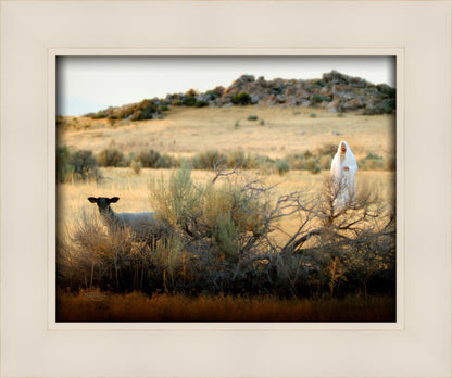 In Search of the One