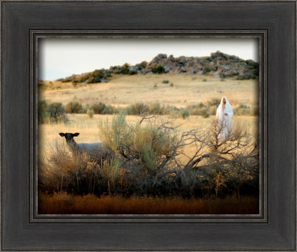 In Search of the One