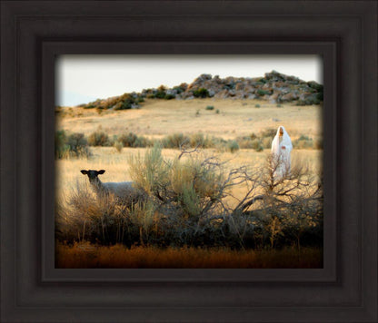 In Search of the One