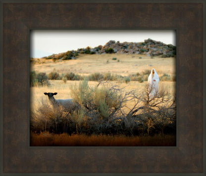 In Search of the One