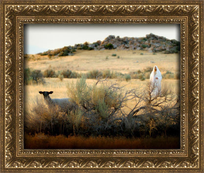 In Search of the One