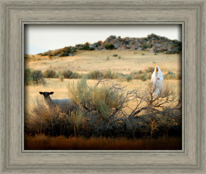 In Search of the One