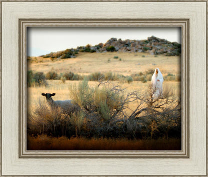 In Search of the One