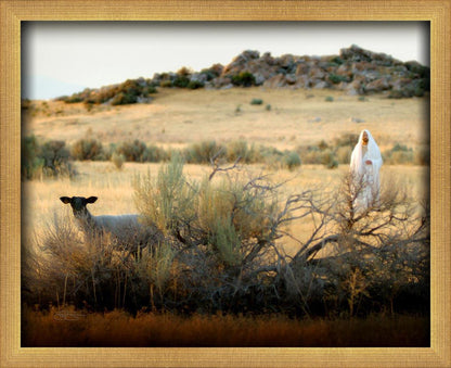 In Search of the One